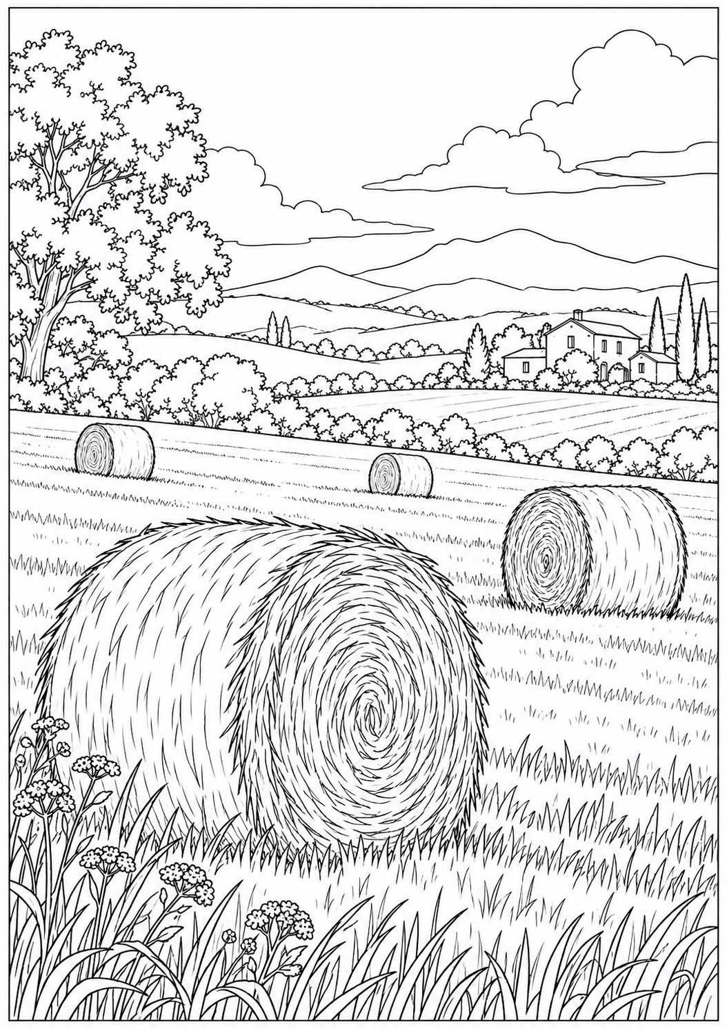 Een landschap met hooibalen — zwart-wit kleurplaat voor volwassenen